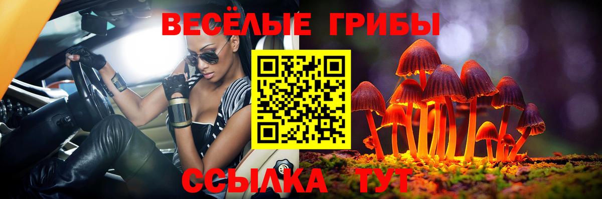 Калач-на-Дону  Псилоцибиновые грибы прущие грибы  Вход с VPN 